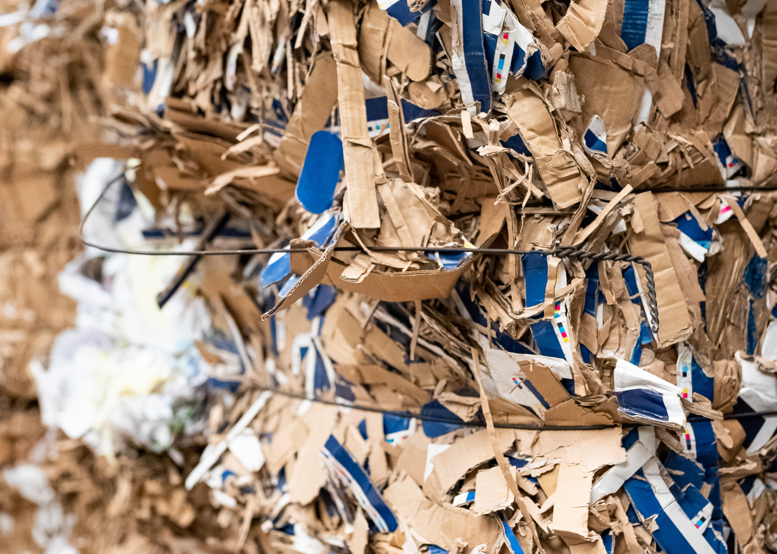 mulliez-richebet-6 copie